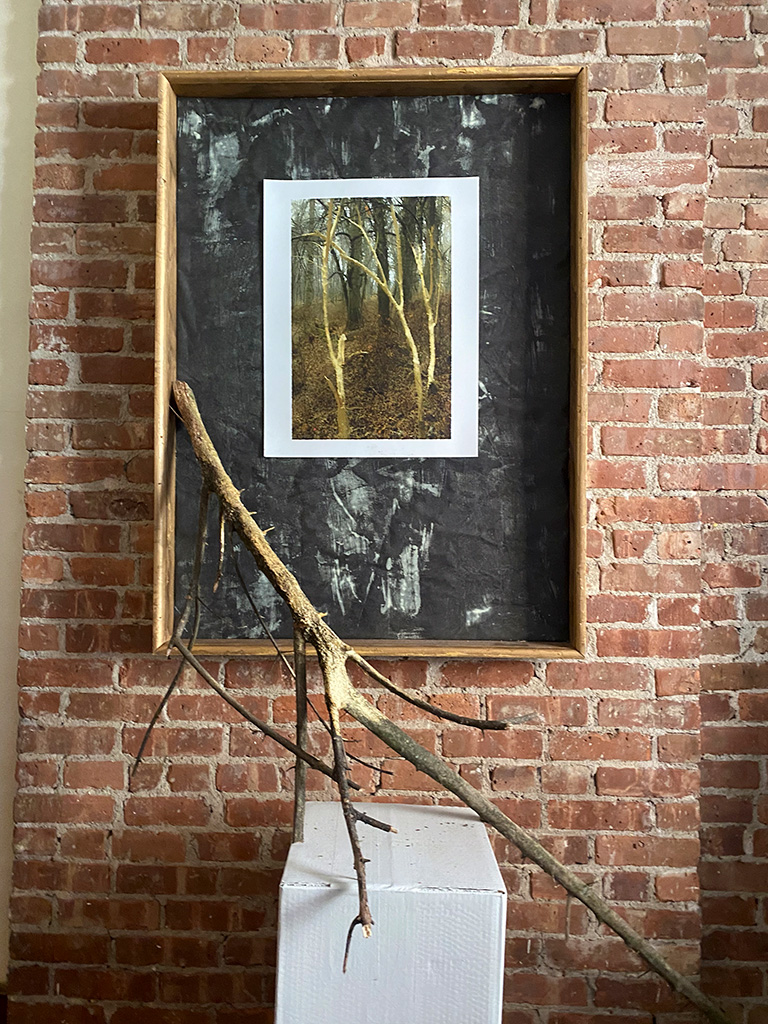 Zollo Twins, Akron, San Francisco,  1941 - 1974